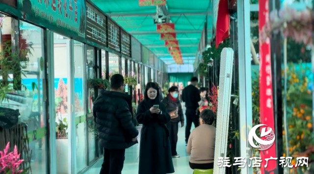 新春佳節(jié)即將到來(lái)，綠植花卉成為節(jié)日新寵