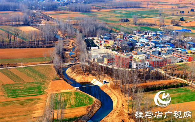 泌陽縣黃山口鄉(xiāng)：走穩(wěn)小麥“田管棋”，繪就夏收好“豐”景