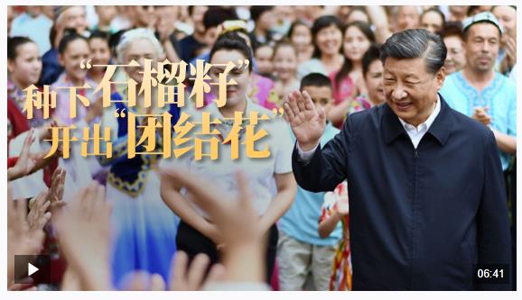 總書記關心的事丨種下“石榴籽” 開出“團結花”