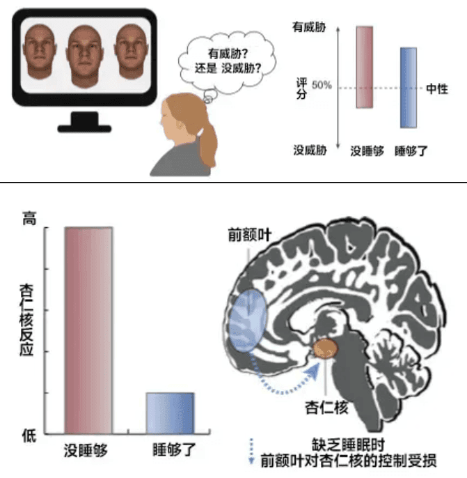 你以為的正?，F(xiàn)象，其實是睡眠不足！這份“熬夜急救包”請收好