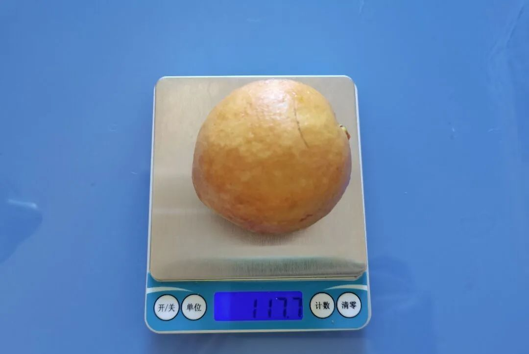 這種水果維C比蘋果高21倍，春天吃正好！