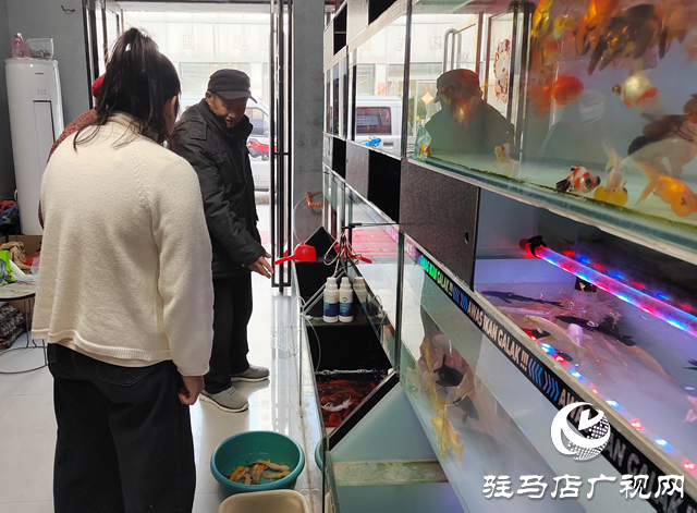 天氣轉(zhuǎn)暖 觀(guān)賞魚(yú)市場(chǎng)持續(xù)升溫