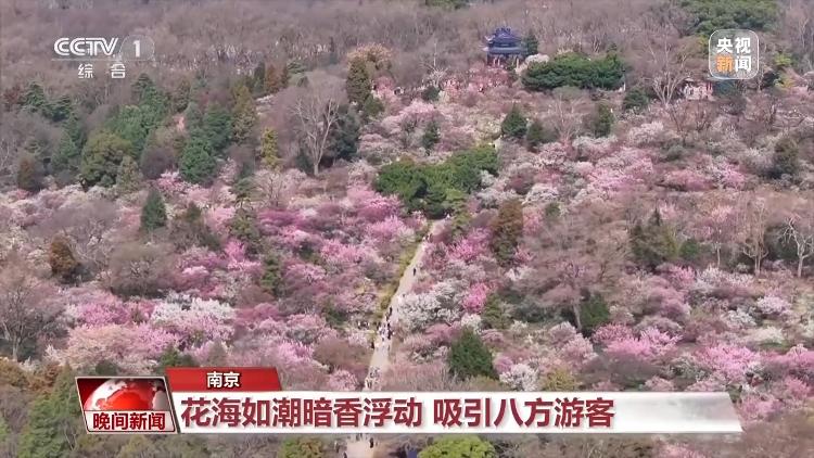 春天就是要看花花花花花，熱門春游目的地藏在這里