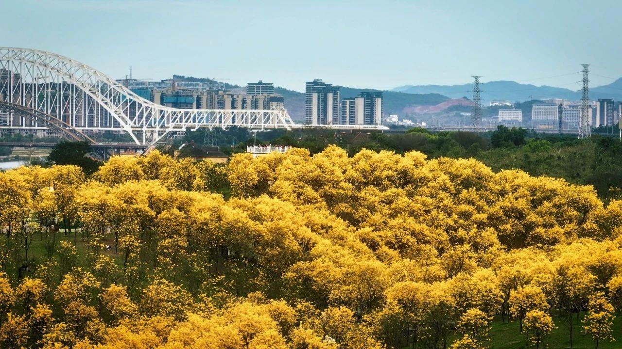 春意漸濃，這條高鐵沿線的寶藏城市“藏不住”了！