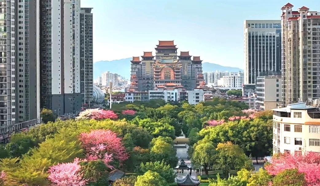 春意漸濃，這條高鐵沿線的寶藏城市“藏不住”了！