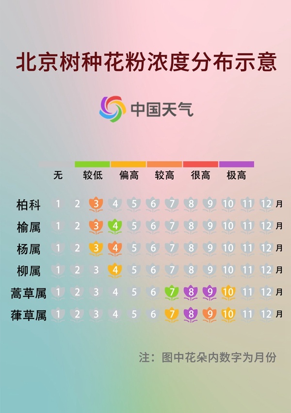 前方噴嚏警告！又到花粉過(guò)敏季，四招教你有效預(yù)防