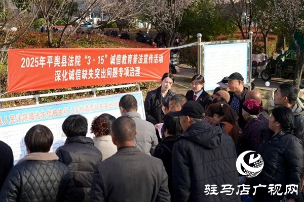 平輿縣人民法院:曝光失信被執(zhí)行人 助推社會(huì)誠信體系建設(shè)