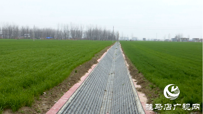 正陽縣：高質(zhì)量推進(jìn)農(nóng)田建設(shè)?筑牢農(nóng)業(yè)生產(chǎn)“耕”基