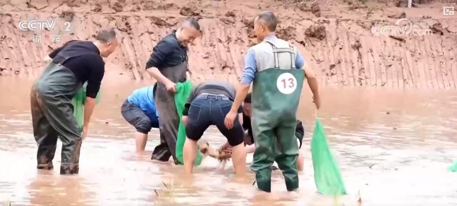 以“花”為媒、以“旅”促農(nóng) 勾勒鄉(xiāng)村振興新圖景