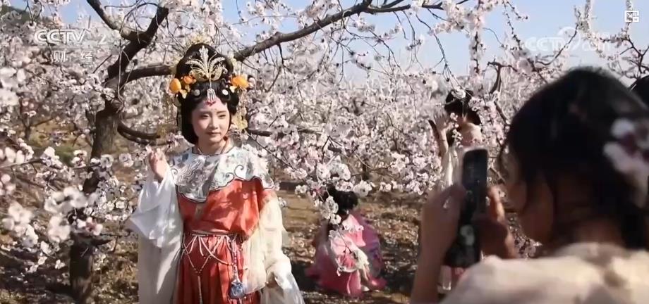 以“花”為媒、以“旅”促農(nóng) 勾勒鄉(xiāng)村振興新圖景