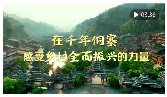 時(shí)政Vlog｜在千年侗寨，感受鄉(xiāng)村全面振興的力量