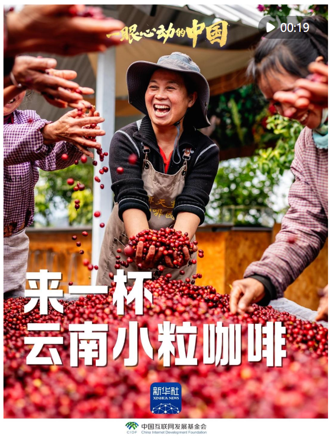 一眼心動的中國｜來一杯云南小粒咖啡