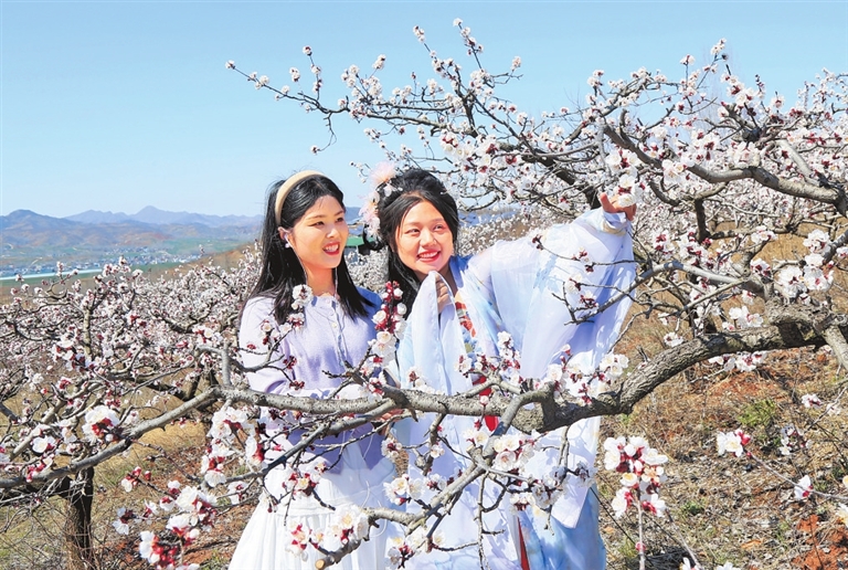 春日來(lái)信