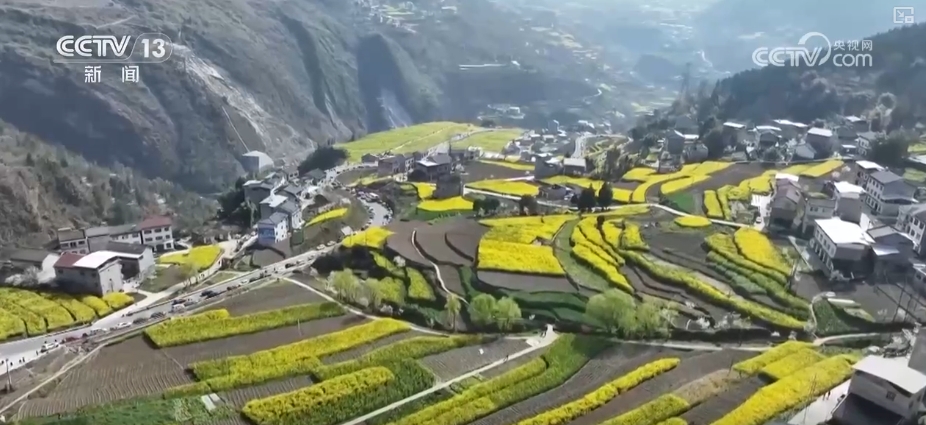 春賞花、夏榨油、秋收糧 “賞花+”扮“靚”經(jīng)濟(jì)新增長(zhǎng)點(diǎn)