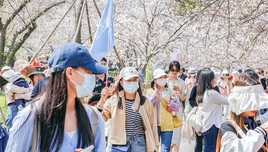 跟團旅游回程沒票，要不要付尾款
