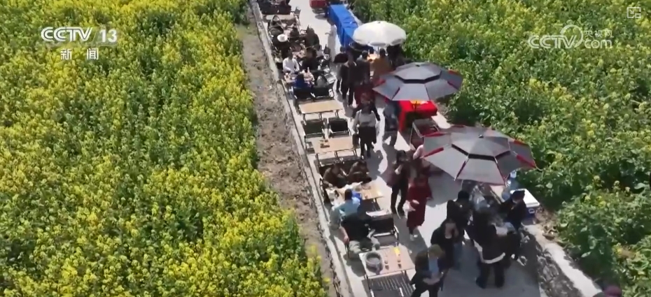 春賞花、夏榨油、秋收糧 “賞花+”扮“靚”經(jīng)濟(jì)新增長(zhǎng)點(diǎn)