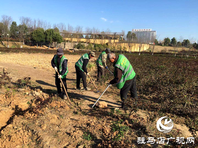 確山縣住建局：春季綠化養(yǎng)護(hù)忙，不負(fù)春景好時(shí)光