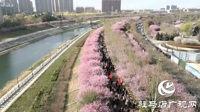西平縣舉辦2025年“移風(fēng)易俗樹新風(fēng) 全民健身享健康”萬步有約全民健身健步走活動