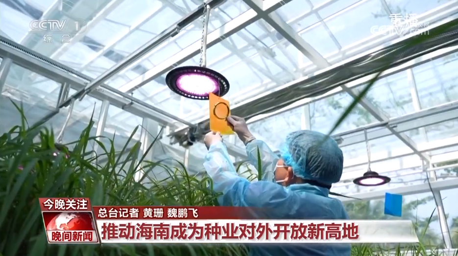 黑紫色玉米、棕色秋葵……你見過的、沒見過的瓜果蔬菜這都有！