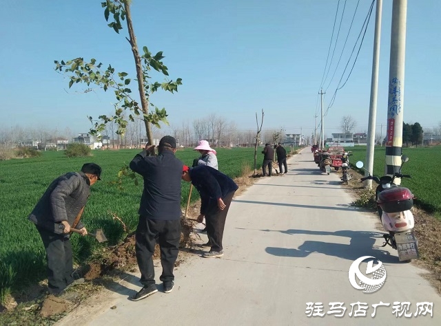  新蔡縣頓崗鄉(xiāng)：強化樹木管護 鞏固綠化成果