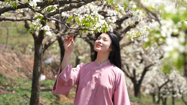 泌陽(yáng)縣：融媒女主播邀您“云游”馬谷田 感受漫山遍野花海盛宴