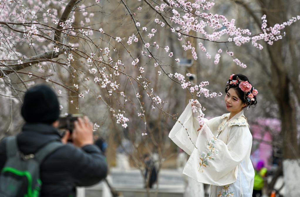 從“劇效應(yīng)”到“花經(jīng)濟(jì)” 春日文旅消費(fèi)市場活力滿滿