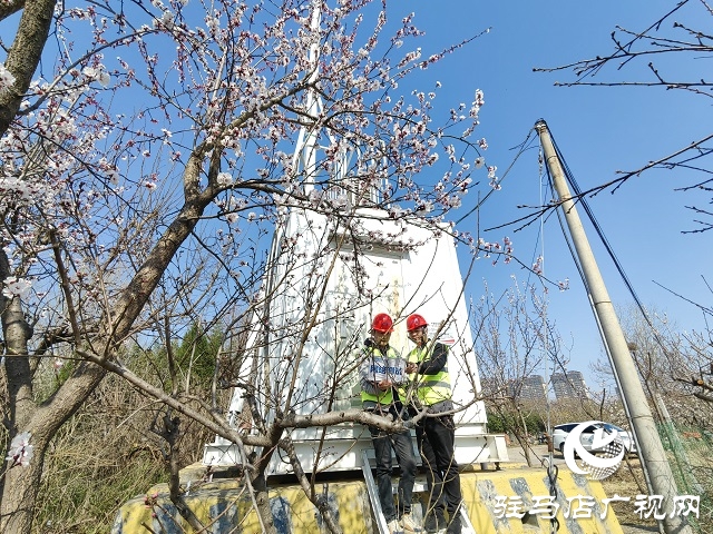 駐馬店移動筑牢蔡氏祭祖大典通信保障網(wǎng)