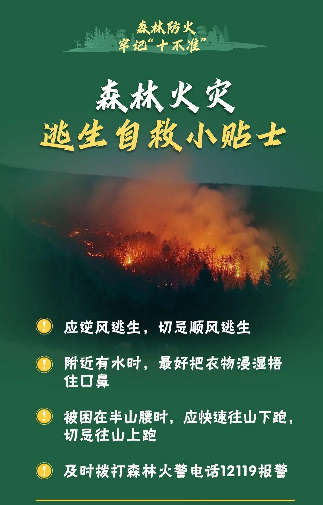 山火連發(fā)，原因公布！多地拉響紅色預(yù)警→