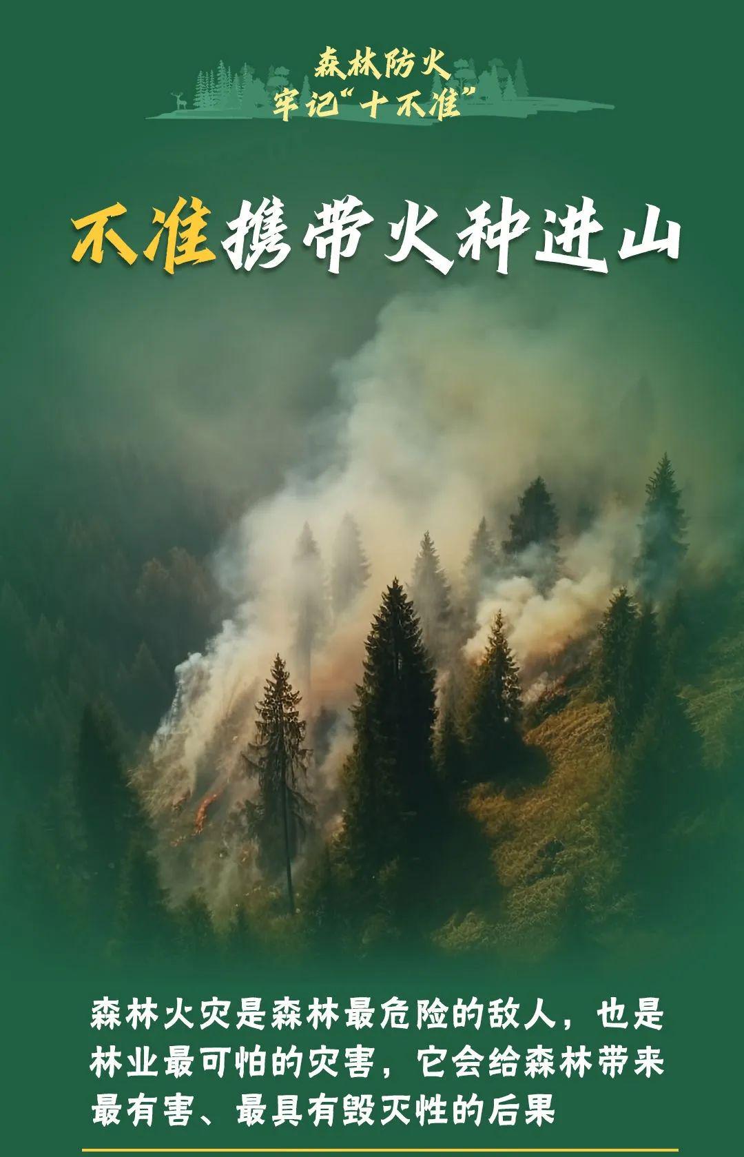 山火連發(fā)，原因公布！多地拉響紅色預(yù)警→