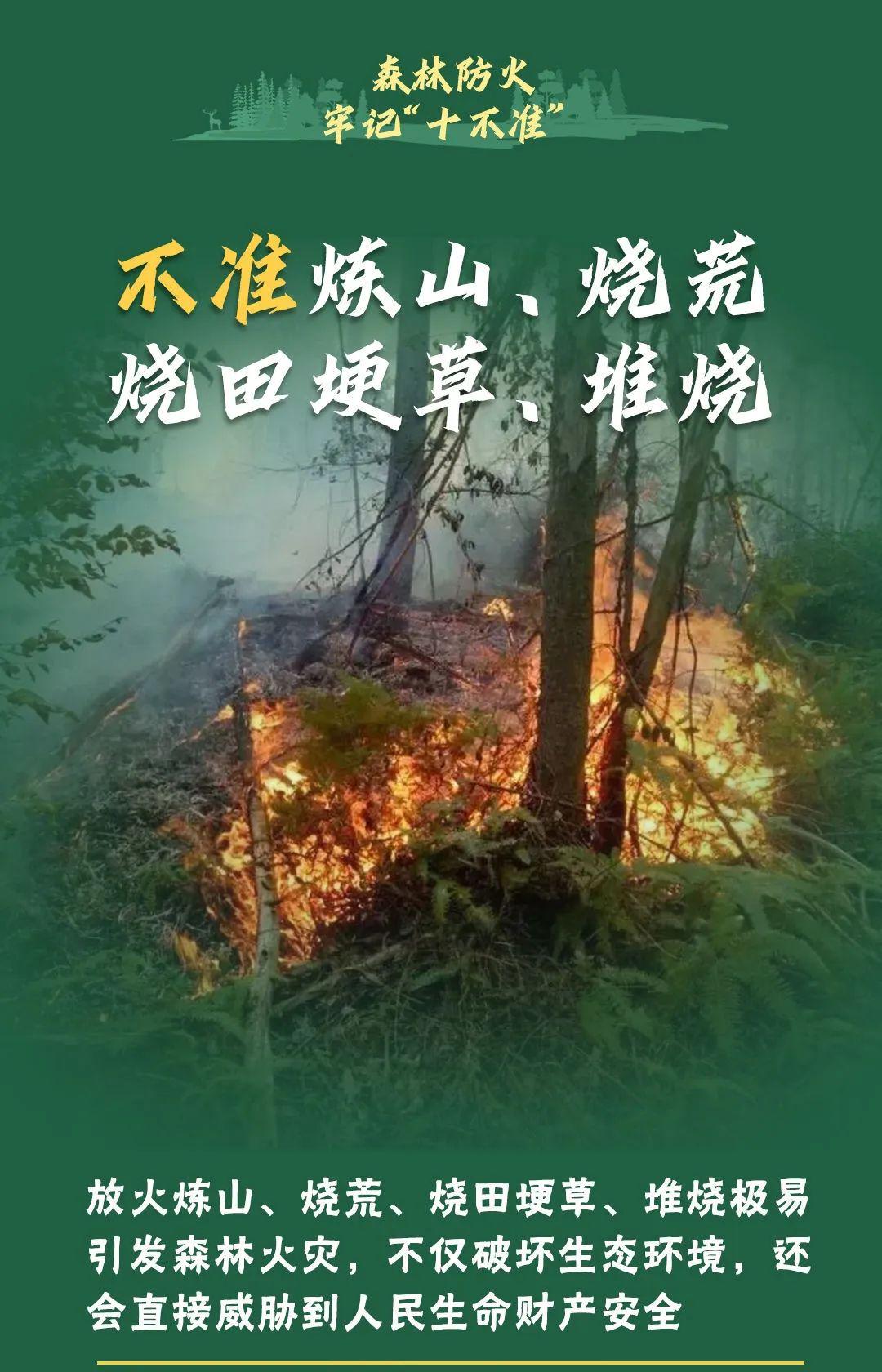 山火連發(fā)，原因公布！多地拉響紅色預(yù)警→