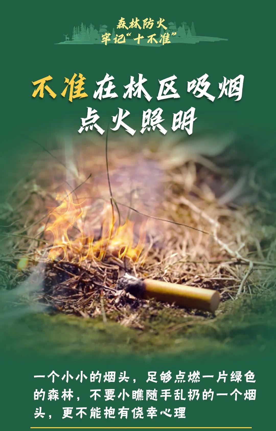 山火連發(fā)，原因公布！多地拉響紅色預(yù)警→