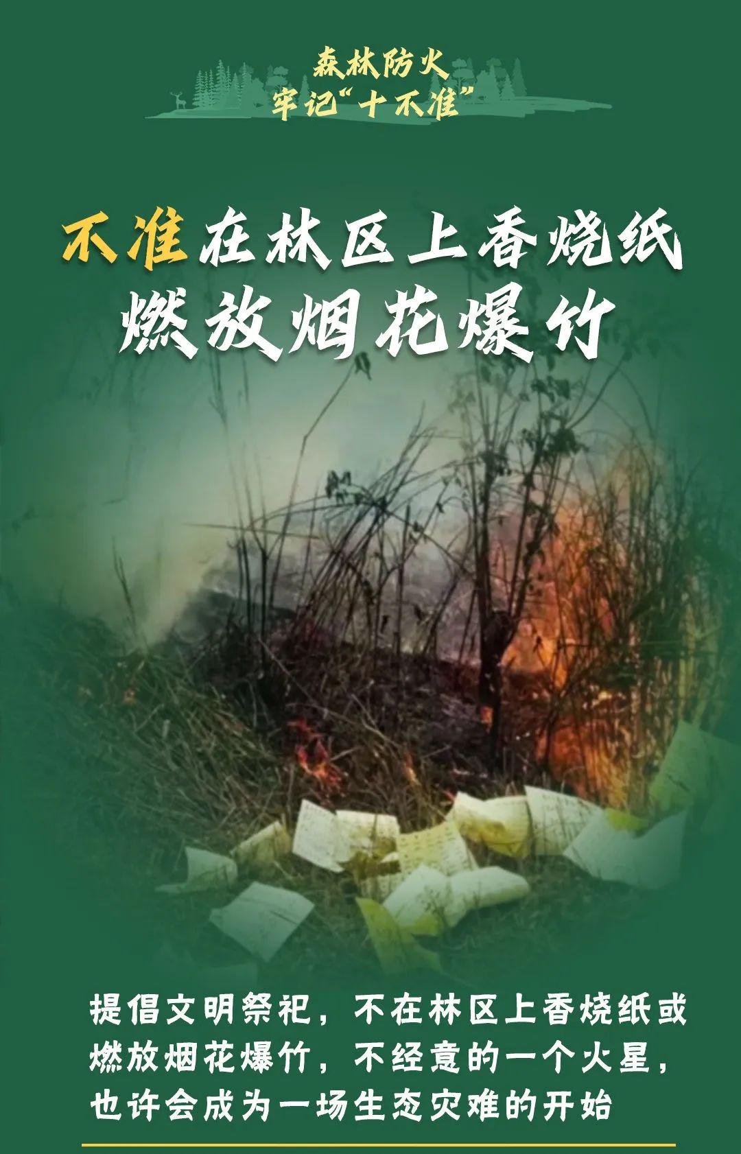 山火連發(fā)，原因公布！多地拉響紅色預(yù)警→