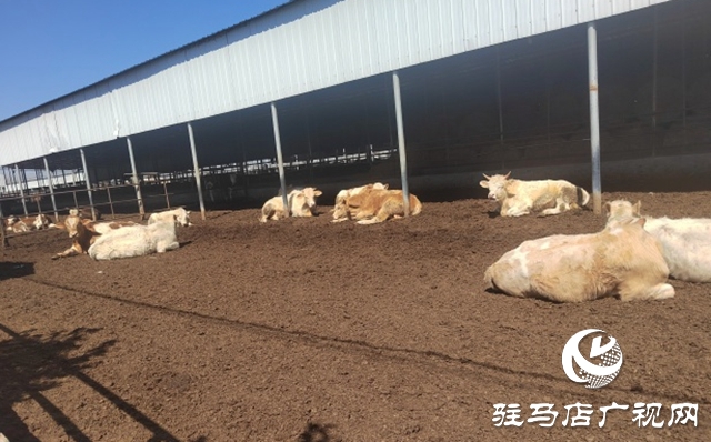駐馬店市動(dòng)物防疫檢疫中心發(fā)布4月份動(dòng)物預(yù)警預(yù)報(bào)