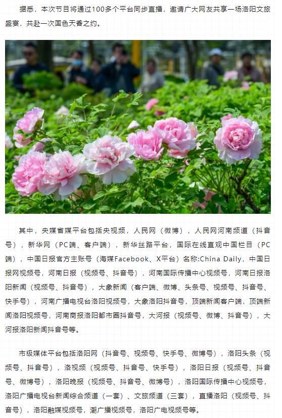 今晚8點(diǎn)，第42屆中國洛陽牡丹文化節(jié)線上開幕直播特別節(jié)目上演