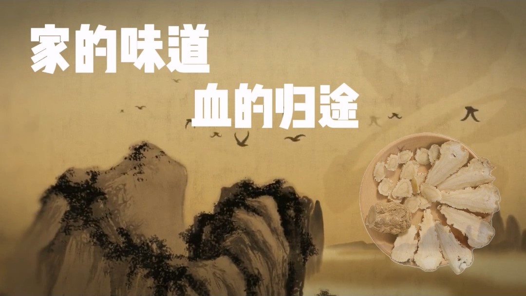 家的味道，血的歸途——駐馬店市中醫(yī)院
