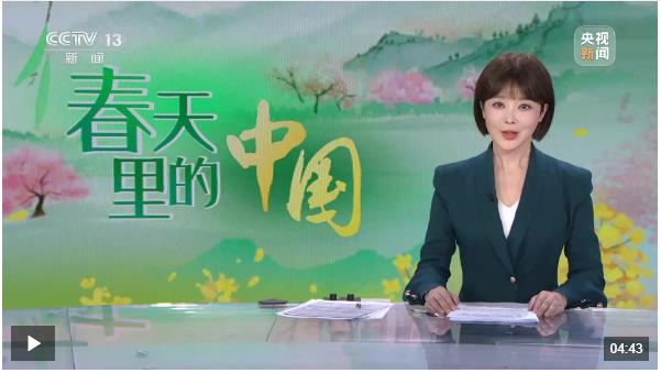 春天里的中國(guó) 河南 8500萬(wàn)畝小麥正值拔節(jié)期