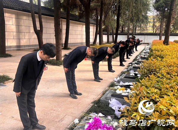  平輿公交組織黨員干部開展“緬懷革命先烈，傳承紅色精神”主題黨日活動