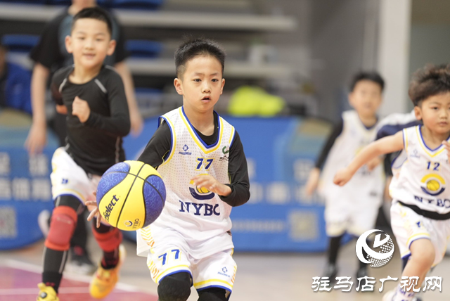 2024——2025賽季中國(guó)人壽·NYBO青少年籃球公開(kāi)賽駐馬店賽區(qū)啟幕