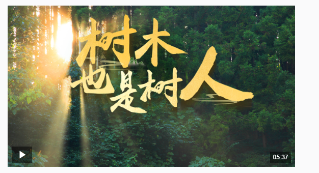 近觀“兩山” | 樹(shù)木，也是樹(shù)人
