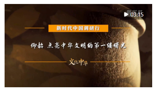 新時代中國調研行之文化中華·國寶故事｜仰韶 點亮中華文明的第一縷曙光
