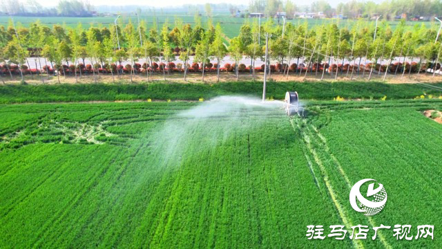 正陽縣：科技春管護(hù)麥長 精準(zhǔn)滴灌保豐年