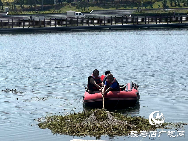 守護一城碧水！確山縣住建局清淤除草保河暢水清