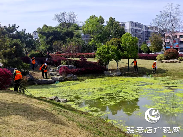 守護一城碧水！確山縣住建局清淤除草保河暢水清