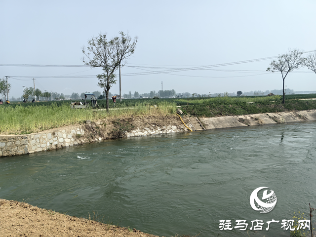 驛城區(qū)沙河店鎮(zhèn)：干群聯(lián)動保春管 科學(xué)澆水護(hù)糧安全
