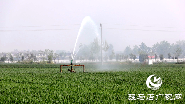 正陽(yáng)縣寒凍鎮(zhèn)徐莊村：80眼機(jī)井高效運(yùn)轉(zhuǎn) 基層管護(hù)澆出夏糧希望