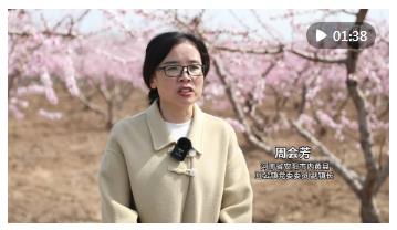 河南：“春日經(jīng)濟(jì)”點(diǎn)燃消費(fèi)市場新活力