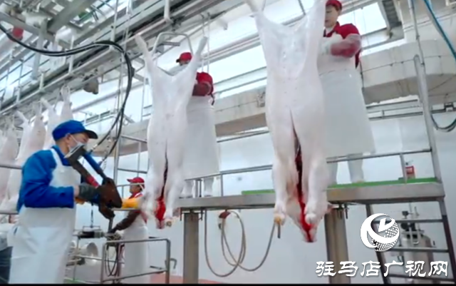 上蔡縣：科技賦能新質(zhì)生產(chǎn)力 創(chuàng)新引領高質(zhì)量發(fā)展