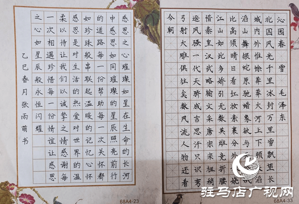 駐馬店職業(yè)技術(shù)學(xué)院成功舉辦“墨韻校園，詩詠青春”硬筆詩詞大賽