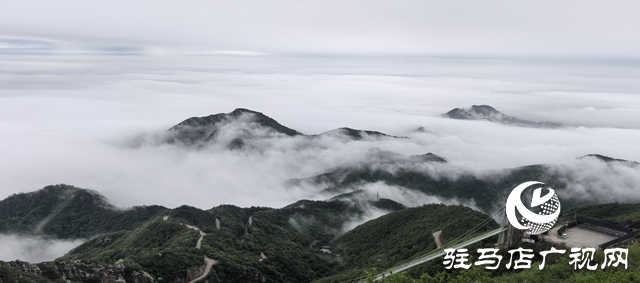 【大美天中】駐馬店老樂山：云海翻涌映翠峰 引客醉游于云端