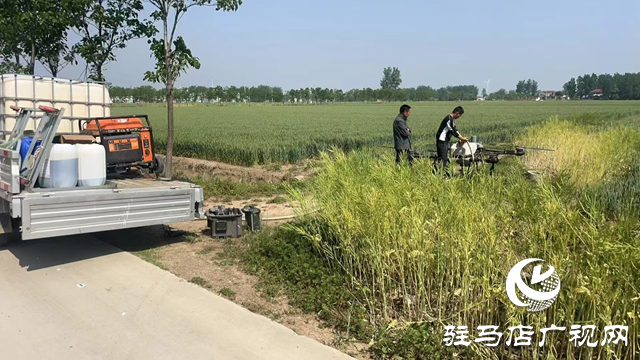 新蔡縣韓集鎮(zhèn)：“一噴三防”筑牢糧食安全“防護(hù)墻”